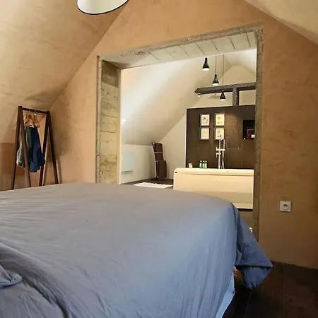 Maison Ancienne Moderne Et Design - 6 6 Sdb - Avec Piscine Et Grand Parc Vila Buxeuil (Vienne)