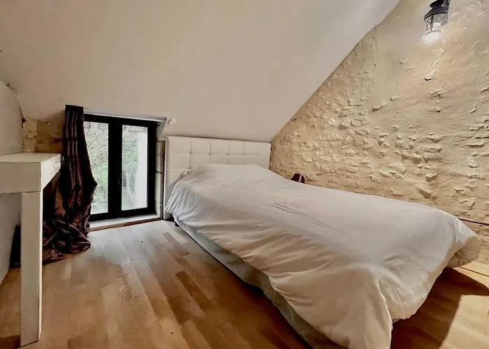 Villa Maison Ancienne Moderne Et Design - 6 6 Sdb - Avec Piscine Et Grand Parc Buxeuil (Vienne)